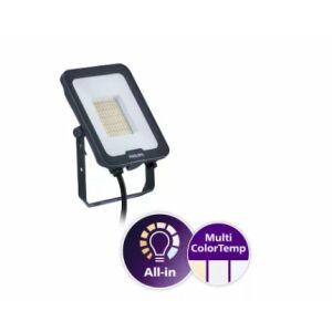 Reflektor LED Ledinaire BVP167 50W, IP65 do użytku zewnętrznego - Zewnętrzna lampa dekoracyjna