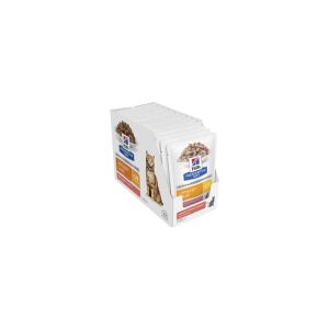 Hill's Prescription Diet™ c/d™ Multicare nedves macskatáp, lazac 12 x 85 g 137338453 - Hill's