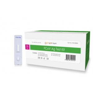 TESZT BIONOTE FCOV AG (CORONA) 10X