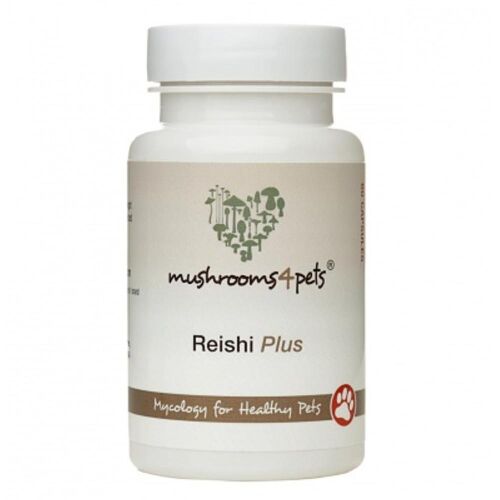 Mushrooms4Pets Reishi Plus 60 kapszula kutyáknak és macskáknak 