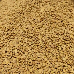 Paleolit Görögszénamag egész 25kg lédig Fenugreek seeds 137398287 - Élelmiszer & Ital