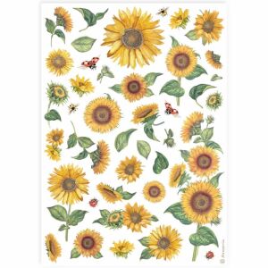 A4 rizspapír csom.- Napraforgók