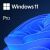 Logo Windows 11 Pro