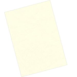 Fellowes Delta A4 elefántcsontszínű spirál hátlap, 250 g, matt - Spirál hátlap