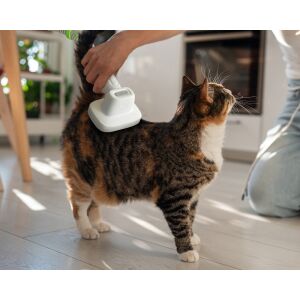 Verwendung des Lifenaxx LX-052 Tierpflege Staubsaugers an einer Katze - Viehzucht