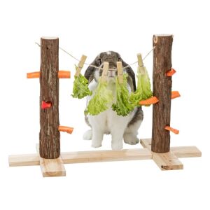 Trixie Gyümölcstartó Rágcsálónak Csipeszekkel, Fa 53x34x25cm 137456949 - Rágcsáló etető