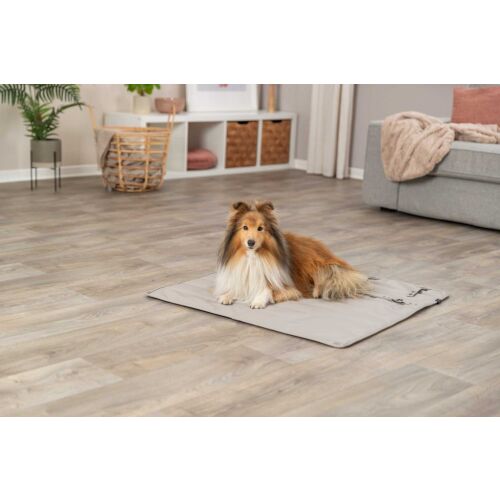 Trixie Pléd Utazáshoz CityStyle 80x80cm, Világos szürke 137457097