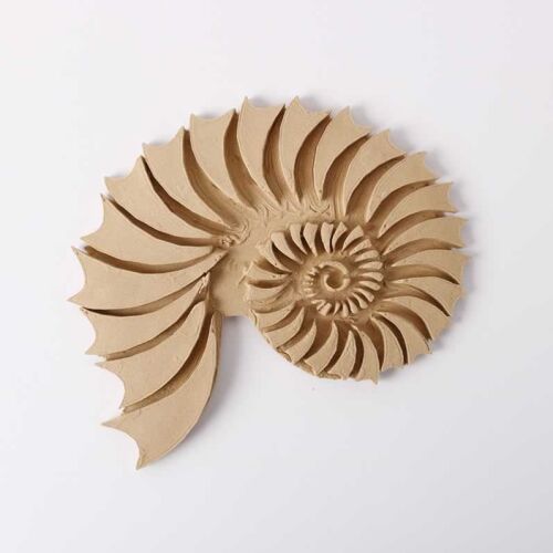 Hőre lágyuló fa Csiga, hővel formázható fa csiga kézműves és dekorációs célokra