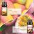PHATOIL Fruchtiges ätherisches Öl-Set – 6 x 10 ml Premium-Qualität 137898804