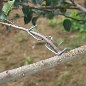 20 részes kerti szerszámkészlet, tartós gyümölcsfaág-hajlító, növénynövekedést formáló eszköz 137945939 - Növénytámasz & Karó