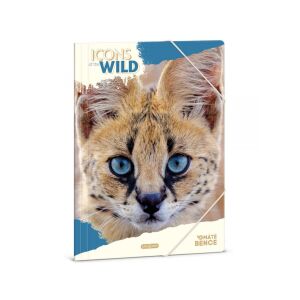 Ars Una Icons of the Wild Szervál Gumis Mappa - A/4 138586029 - Irattartó mappa