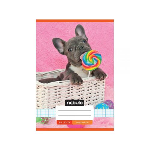 Nebulo Francia Bulldog Kockás Füzet A/5 - Alsósoknak 138586505