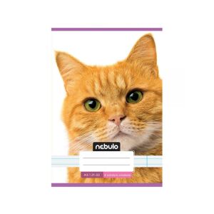 Nebulo Vörös Cica Mintás Vonalas Füzet - A/5, 4. Osztály 140612496 - Nebulo