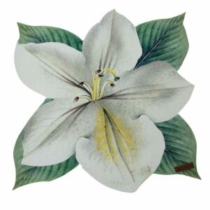 Eurocurtains Virágos Alátét - 33x33 cm, Krém-Zöld