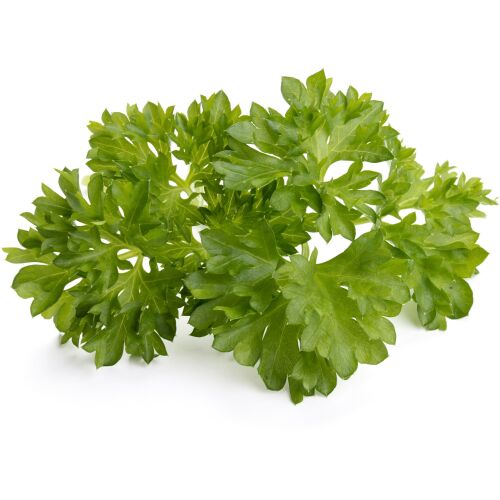 Click & Grow Smart Garden Nachfüllpackung Petersilie 3 Stück 138637953