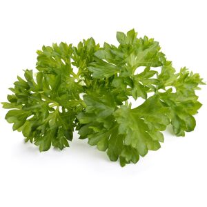 Rezervă Click & Grow Smart Garden Pătrunjel 3 bucăți 138637953 - Semințe de semanat