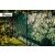 Gartenzaun-Sichtschutzstreifen 19cm x 35m, 450g/m² grün 138645803