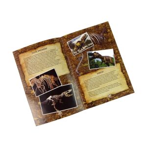 Kit educațional pentru excavații cu dinozauri și tiranozauri 140798745 - Jocuri stiintifice si exploratori