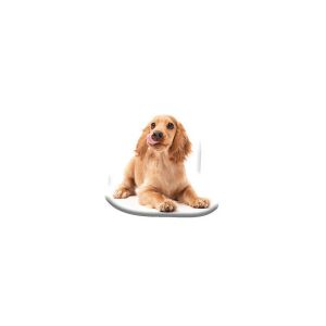 Spániel Kutyás Díszpárna - Velúr Formapárna - Díszpárna