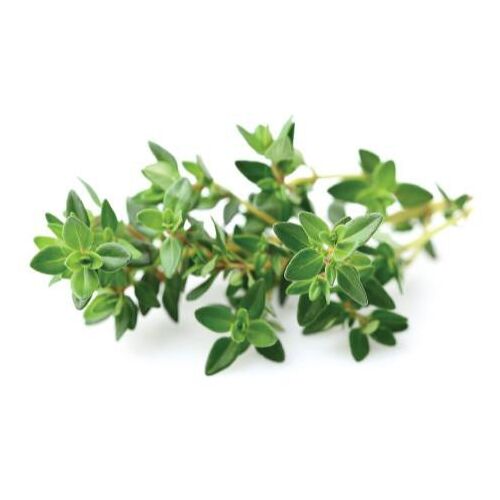 Пълнител Click & Grow Smart Garden за мащерка 3 бр. 138702463