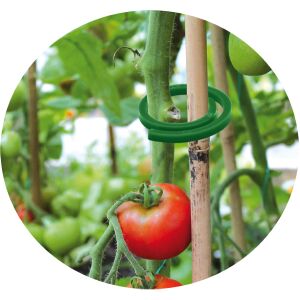 Krawattenklammern für Pflanzen - 1 Größe 138721477 - Gartenbauwerkzeuge