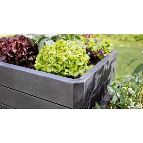 ERGO Stone Modul XL Hochbeet mit Salat