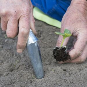 Jardinieră metalică conică - 29 cm pentru ghiveci 138723634 - Unelte de plantare