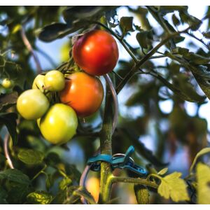 Cleme de cravată pentru plante - 2 dimensiuni 138724415 - Suporturi și țăruși pentru plante