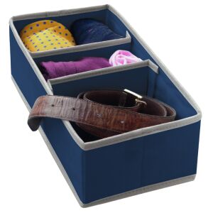 Krabica s priehradkami M 30,5x15,5x10cm Modrá 138727238 - Skladovanie a organizovanie