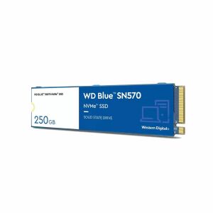 Hard Disk Western Digital BLUE 250 GB SSD 138737136 - Solid State Drive (SSD)