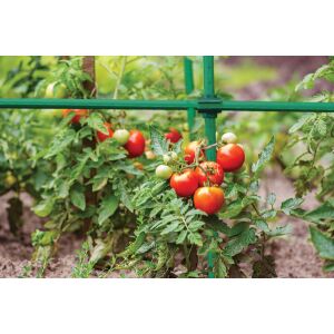 Conector unghiular pentru țăruși de grădină 11mm - 10 buc 138746441 - Suporturi și țăruși pentru plante