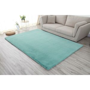 COVOR SHAGGY SOFT BLANITA  200X300 CM TR