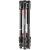 Manfrotto Stativ-Kit Befree Live Kit MVKBFRTC-LIVE 138747644