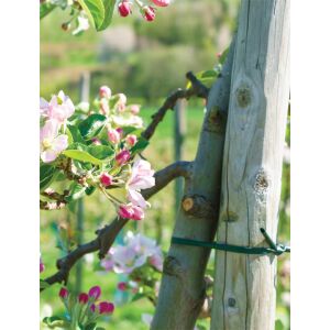 Flexibler Softbinder für Pflanzen 3,9 x 30m 138748475 - Bradas