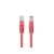 Fluke Passed Lanberg Patchkabel Kat.6 UTP 0,25 m rot 10er-Pack 138749579