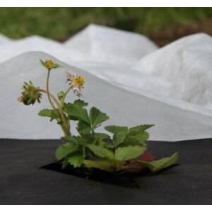 Pânză nețesută 30g/m² iarnă-primăvară, albă, 1,1 x 100m 138762135 - Saci protectie plante