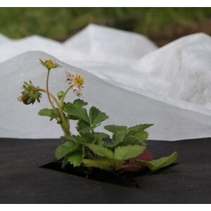 Pânză nețesută 30g/m² iarnă-primăvară, albă, 3,2 x 10m 138762248 - Saci protectie plante