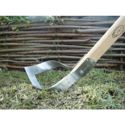 Mediu rapid 138762573