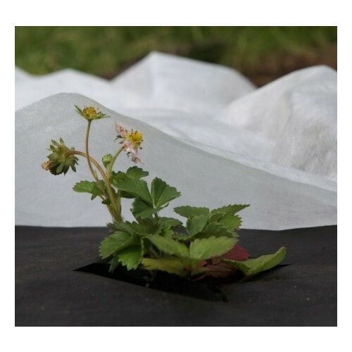 Netkani zimski materijal 50 g/m², bijeli, 1,1 x 100 m 138762964