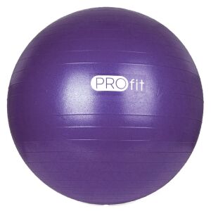 Profit Gymnastikball 45 cm Lila mit Pumpe DK 2102 138765262 - Körperformung