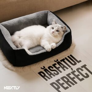 Pătuc dreptunghiular NEXTLY negru și gri pentru câini și pisici, cu margine înaltă și fund anti-alunecare, pisică stând înăuntru - Paturi pentru câini