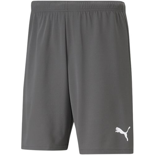 Herren Puma teamRISE Shorts grau 704942 13 138892981