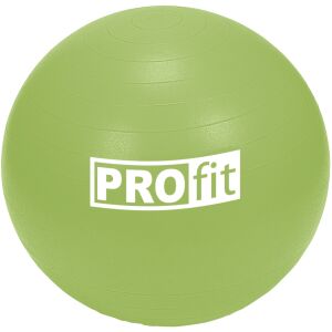 Piłka gimnastyczna Profit 55 cm zielona z pompką DK 2102 138893335 - Trening w domu