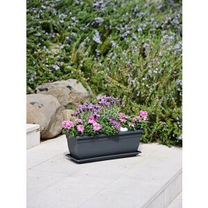 Birka Kőrisfa Kaspó - 40x17x16cm - Modern Növénytartó 138923292 - Balkonláda