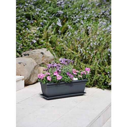 Kvetináč Birka 40 x 17 x v16 cm, jaseň 138923292