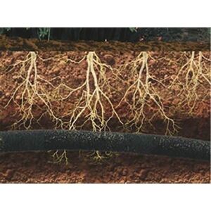 Furtun de udare AQUA-DROP 1/2" - 25m 138923391 - Sistem de picurare pentru gradina