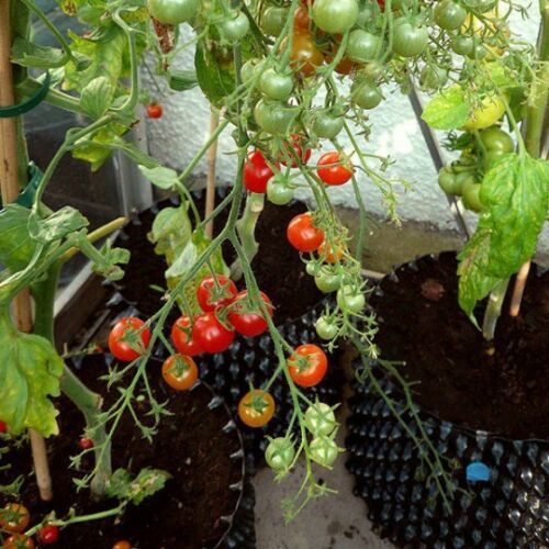 AIR POT® - Okrągła doniczka 3L Hydro kit 138923485