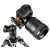 Zestaw statywowy Manfrotto Befree Advanced Alpha MKBFRLA-BH 138923916