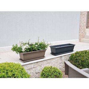 Birka Homokszínű Kaspó - 40 x 17 x 16 cm 138924153 - Balkonláda