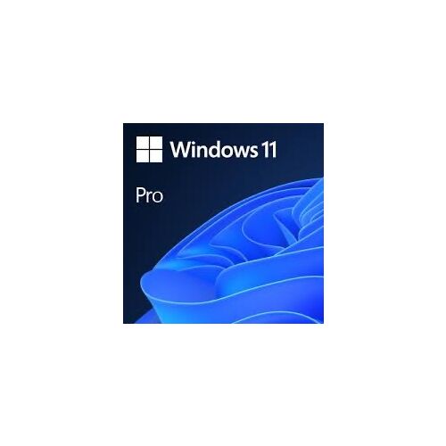 Microsoft Windows 11 Pro